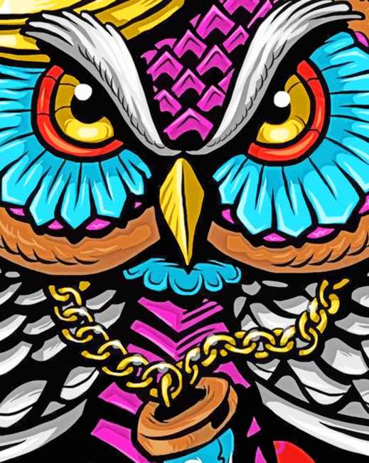 Colorful Owl Design paint by numbers