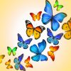 Colorful Butterflies painting by numbers