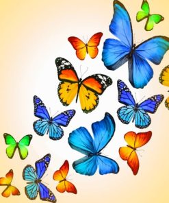 Colorful Butterflies painting by numbers