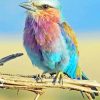 Colorful Bird On A twig paint by numbers