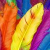 Diverse Colorful Feathers paint by numbers