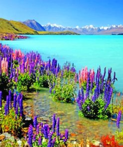 Colorful Flowers On The Coast paint by numbers