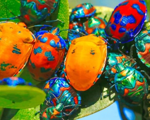 Colorful Jewel Bugs paint by numbers