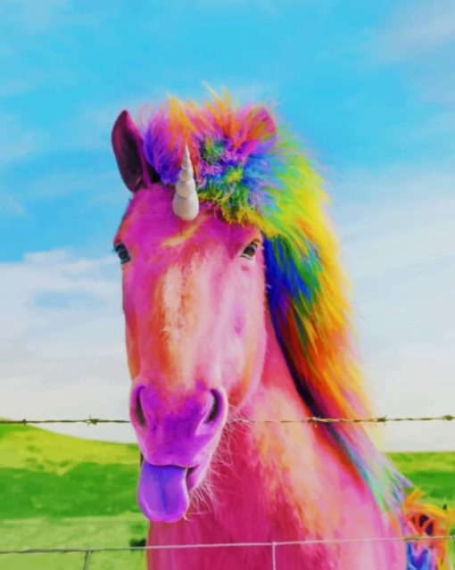 Rainbow Horse painting by numbers