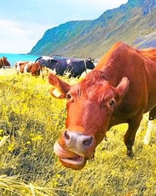 Cows In A Field paint by numbers