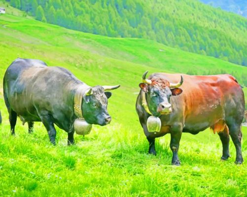 Two Buffalos On The Grass paint by numbers