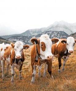 Cows In The Mountain paint by numbers