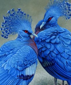 Crowned Pigeon Of New Guinea painting by numbers