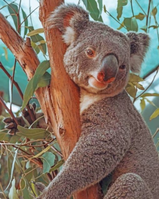 Koala Sleeping On Tree painting by numbers