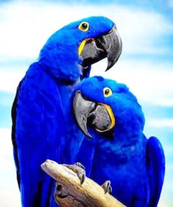 Cute Love Birds painting by numbers