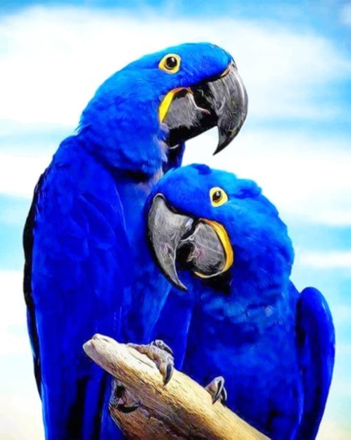 Cute Love Birds painting by numbers