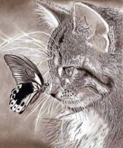 Realistic Cat Drawing painting by numbers