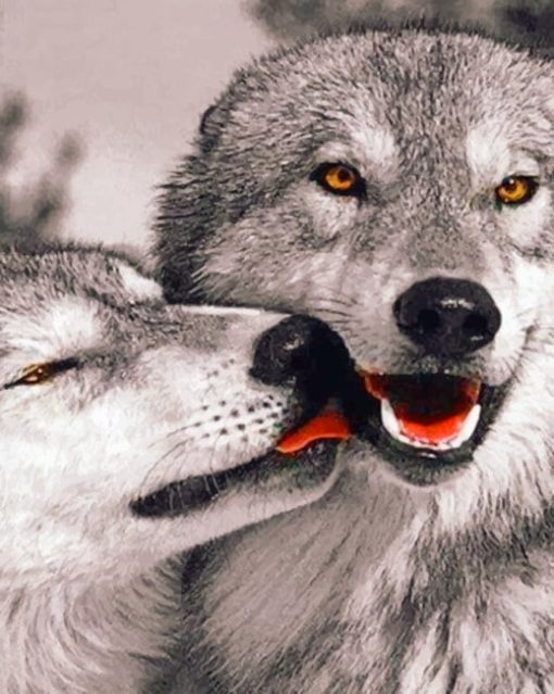 Cute Wolves In Love painting by numbers