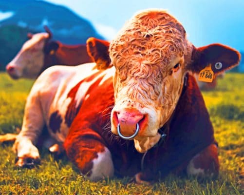 Dairy Cow painting by numbers