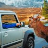 Passengers Feeding A Deer paint by numbers