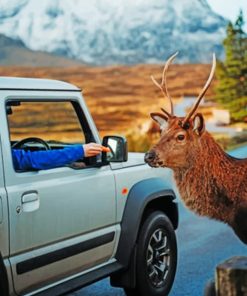 Passengers Feeding A Deer paint by numbers