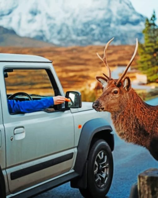 Passengers Feeding A Deer paint by numbers