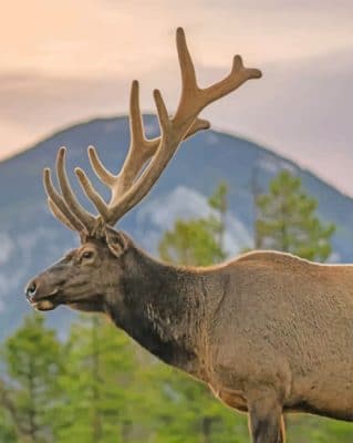 Deer In The Wilderness paint by numbers