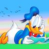 Donald Duck Reading Book paint by numbers