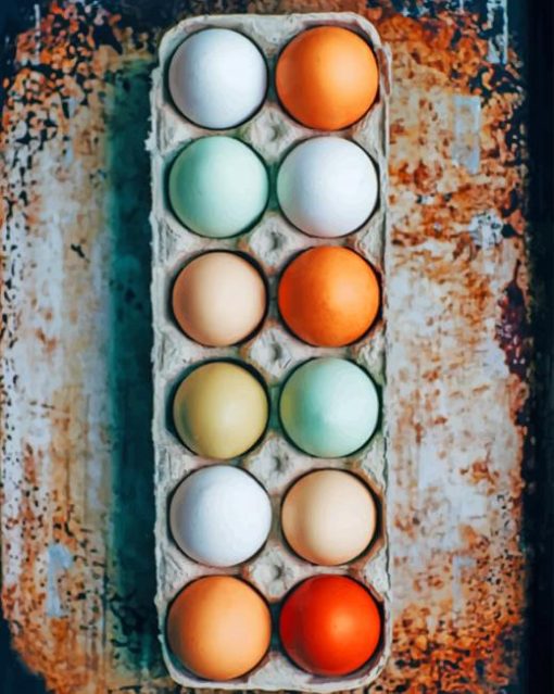 Dozen Eggs On Tray painting by numbers