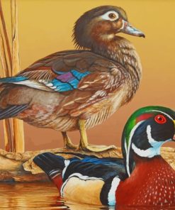 Two Colorful Ducks paint by numbers