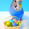 Easter Parrot paint by numbers