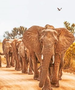 Herd Of Elephants paint by numbers