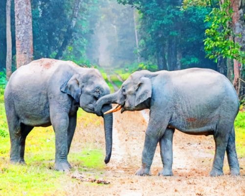 Elephants In The Woods paint by numbers