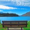 Empty Bench Near River painting by numbers