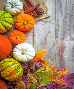 Fall Leaves And Pumpkins paint by numbers