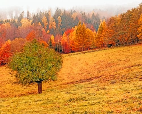 Fall Nature paint by numbers