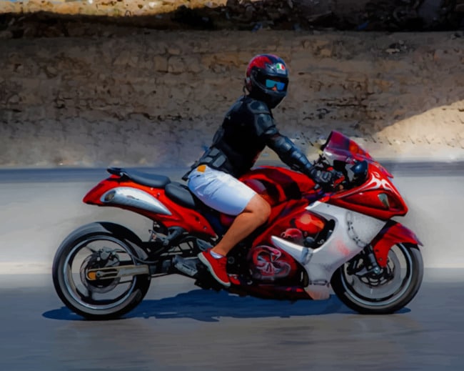 Suzuki Hayabusa Rider paint by numbers