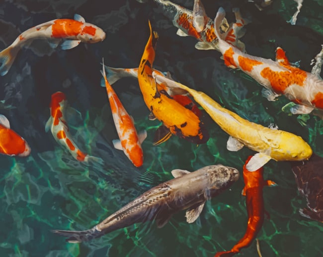Fishes In A Pond paint by numbers