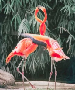 Two Flamingo Birds paint by numbers