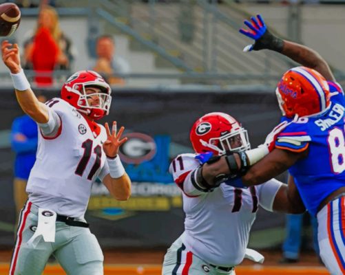Florida Gators In A Game paint by numbers