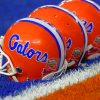 Florida Gators Team Helmets paint by numbers