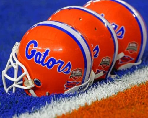 Florida Gators Team Helmets paint by numbers
