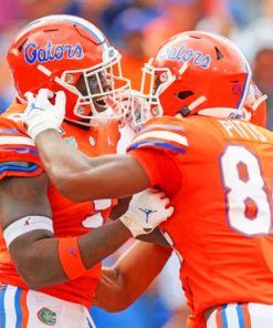 Florida Gators In Orange Shoulder Pads paint by numbers