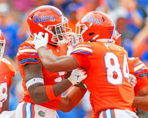 Florida Gators In Orange Shoulder Pads paint by numbers