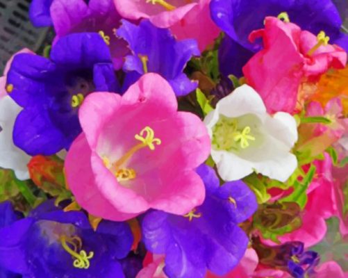 Pink And Blue Flowers paint by numbers