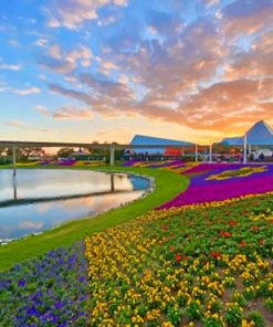 Flower Field On The Lake paint by numbers