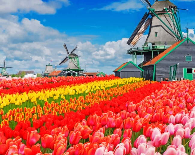 Windmills In A Flower Field paint by numbers