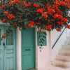 Flowers Dangling In The Street paint by numbers