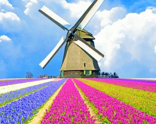 Flowers Field Windmill paint by numbers