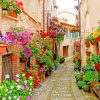 Colorful Flowers In Old Street paint by numbers