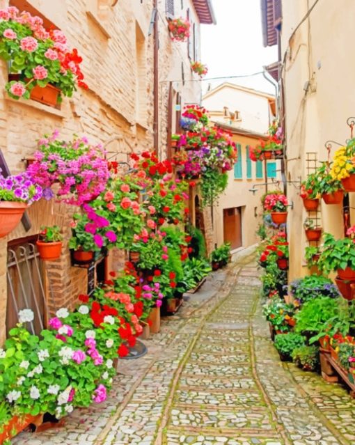 Colorful Flowers In Old Street paint by numbers