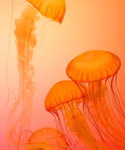 Four Orange Jelly Fishes painting by numbers