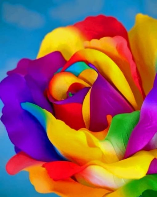 Flower With Rainbow Colors painting by numbers