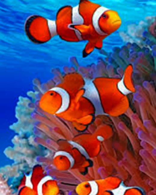 Golden Fishes painting by numbers