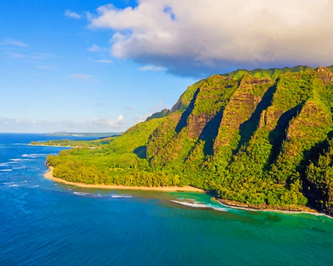 Grande Ile Hawaii Plage painting by numbers